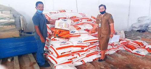 Berkat Ansy, Petani Rote Ndao Peroleh Benih Jagung